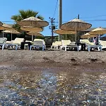 Ekin Assos *