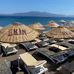 Ekin Assos *
