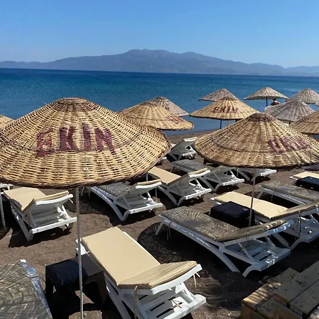 Ekin Assos *