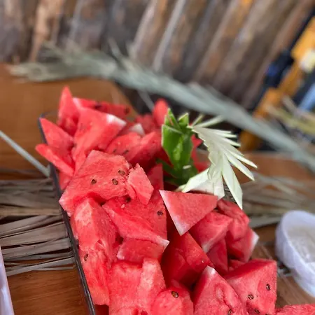 Ekin Assos Ayvacik (Canakkale)
