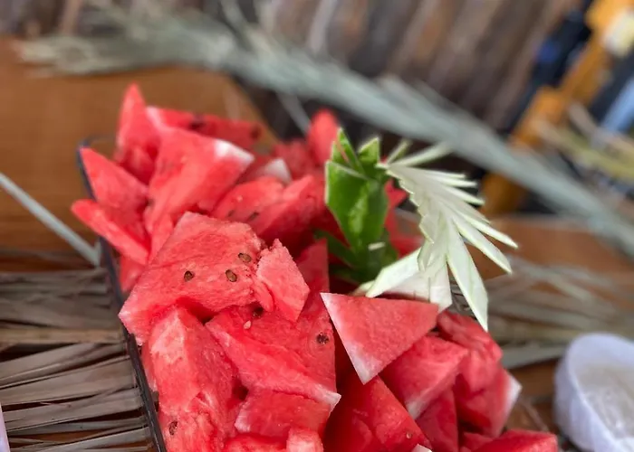 Ekin Assos Ayvacik (Canakkale)